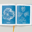 Anna Atkins. Cyanotypes