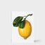 The Gourmand's Lemon. A Collection of Stories and Recipes