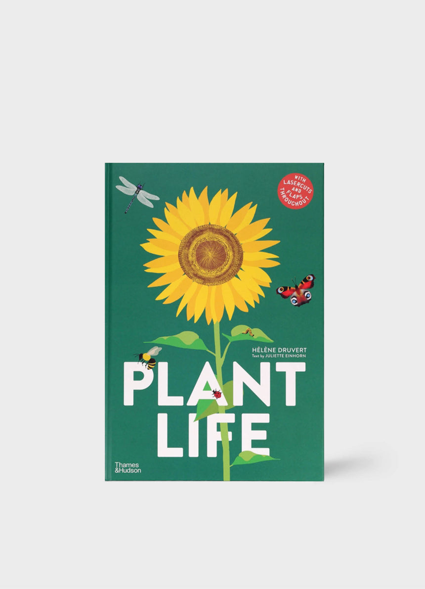 Plant Life