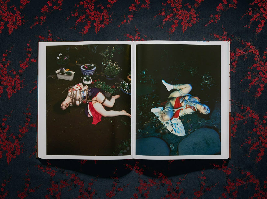 Araki. Bondage