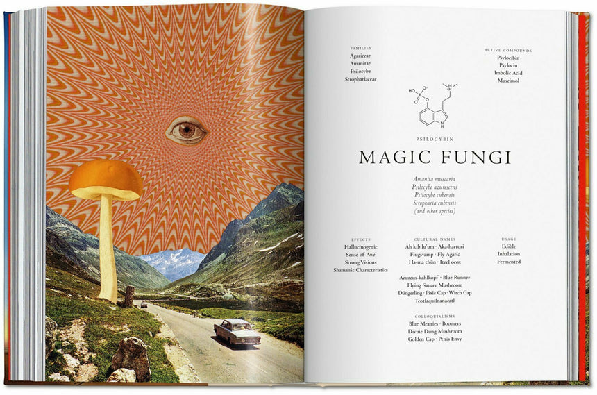 Plant Magick. The Library of Esoterica