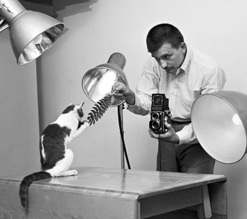 Cats. Photographs 1942–2018