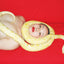 Ren Hang