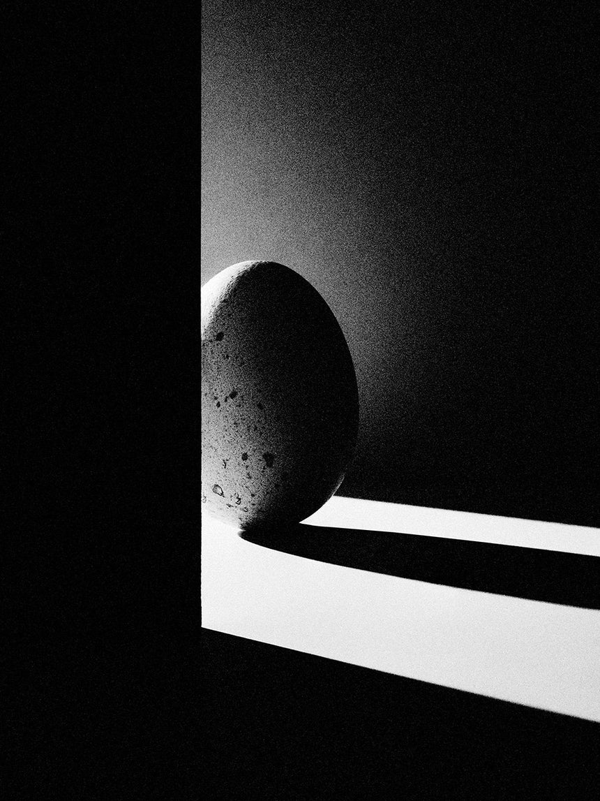 The Gourmand’s Egg. A Collection of Stories & Recipes