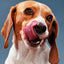 Dogs. Photographs 1941–1991
