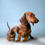 Dogs. Photographs 1941–1991