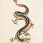 TATTOO. 1730s-1970s. Henk Schiffmacher’s Private Collection