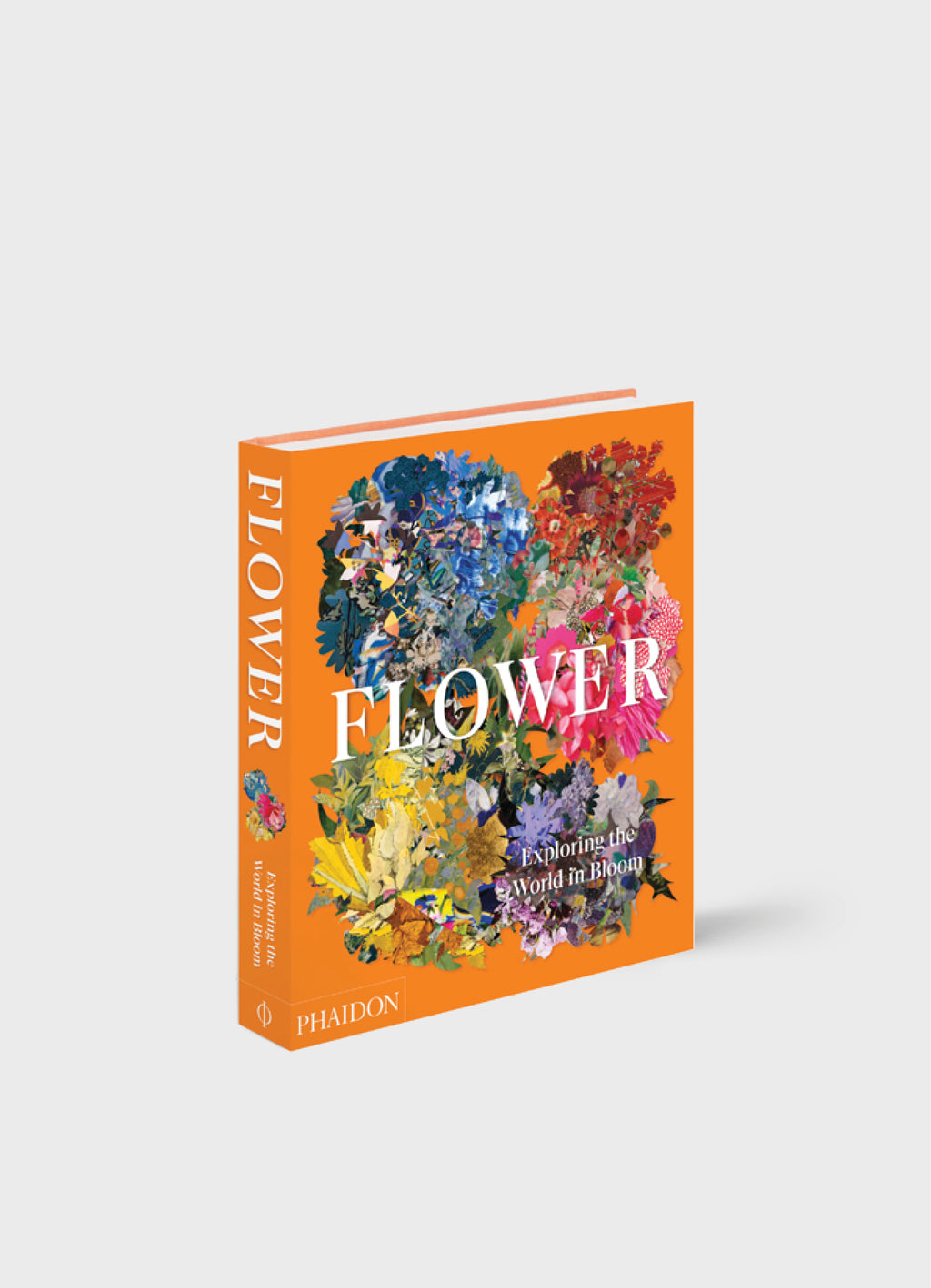 Flower Exploring the World in Bloom THE SHOPKEEPER & CO