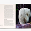 The Future is Fungi