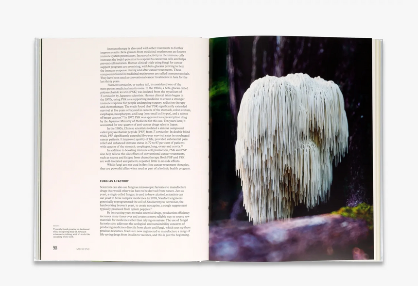 The Future is Fungi