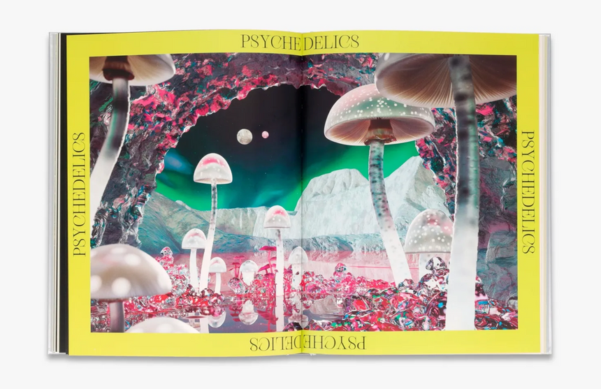 The Future is Fungi