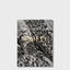 Sebastião Salgado : Gold