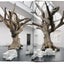Ai Weiwei - 40th Anniversary edition