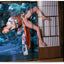 Araki. 40th Anniversary Edition