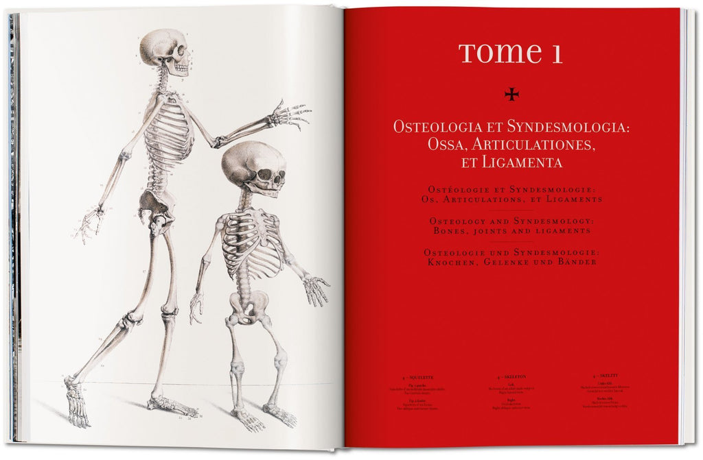 解剖学 Atlas of Human Anatomy and Surgery Atlas of Human Anatomy and Surgery: Le Minor, Jean-Marie