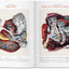 ATLAS OF HUMAN ANATOMY AND SURGERY