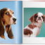 Dogs. Photographs 1941–1991
