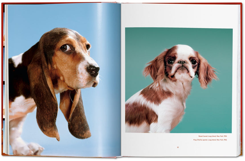 Dogs. Photographs 1941–1991