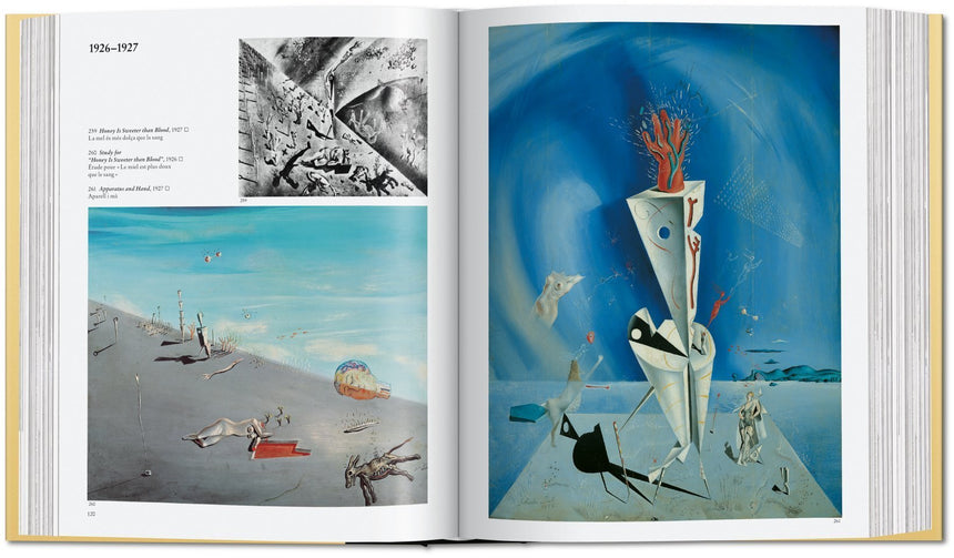 Dalí: The Paintings