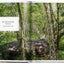 Great Yoga Retreats