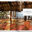 Great Yoga Retreats