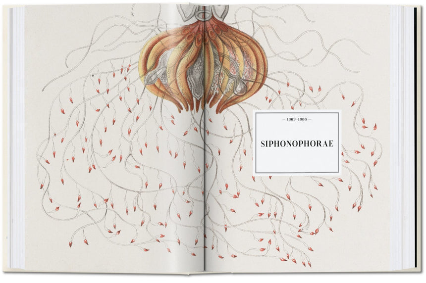 The Art and Science of Ernst Haeckel. 40th Anniversary Edition