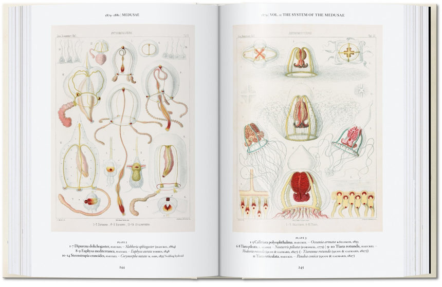 The Art and Science of Ernst Haeckel. 40th Anniversary Edition