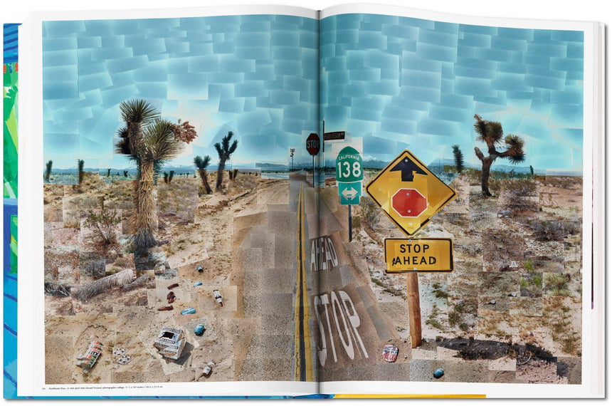 THE DAVID HOCKNEY SUMO