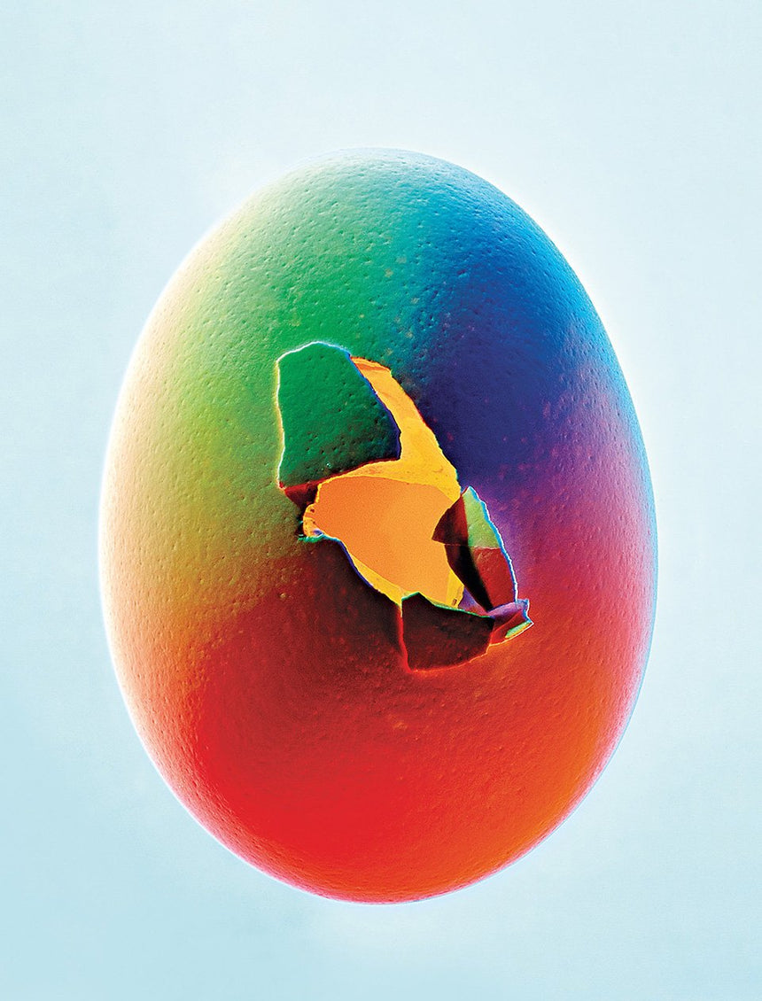 The Gourmand’s Egg. A Collection of Stories & Recipes