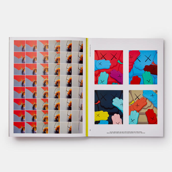 【 KAWS WHAT PARTY 】ART BOOK 洋書 Phaidon KAWS: WHAT PARTY book