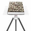 ANNIE LEIBOVITZ LIMITED EDITION