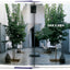 Living in Morocco. 40th Ed.