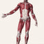 ATLAS OF HUMAN ANATOMY AND SURGERY