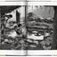 Sebastião Salgado : Gold