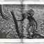 Sebastião Salgado : Gold