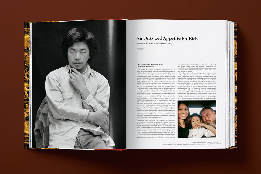 Ai Weiwei. Updated Edition