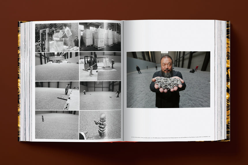 Ai Weiwei. Updated Edition