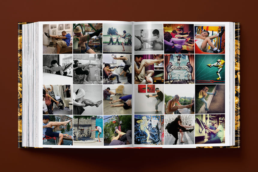 Ai Weiwei. Updated Edition