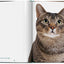 Cats. Photographs 1942–2018
