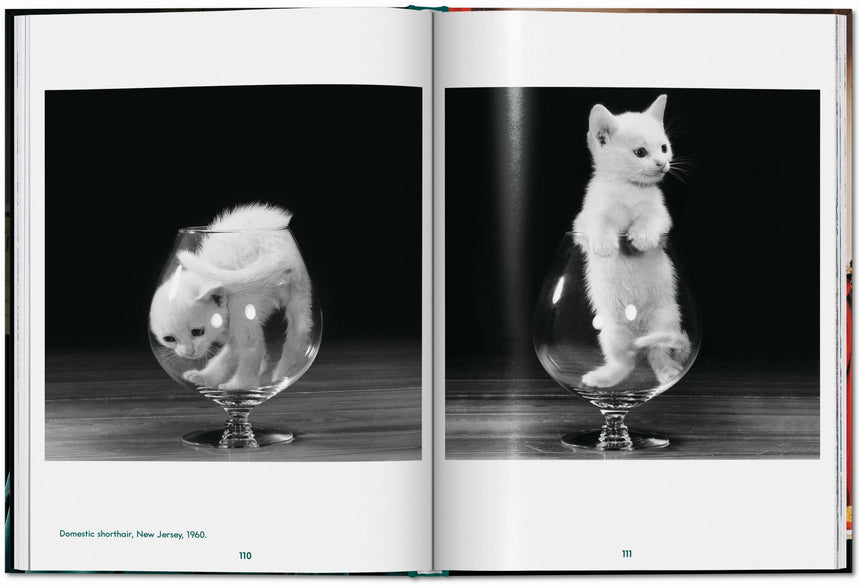 Cats. Photographs 1942–2018