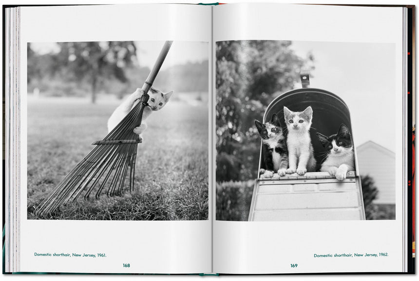 Cats. Photographs 1942–2018