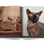 Chic Cats