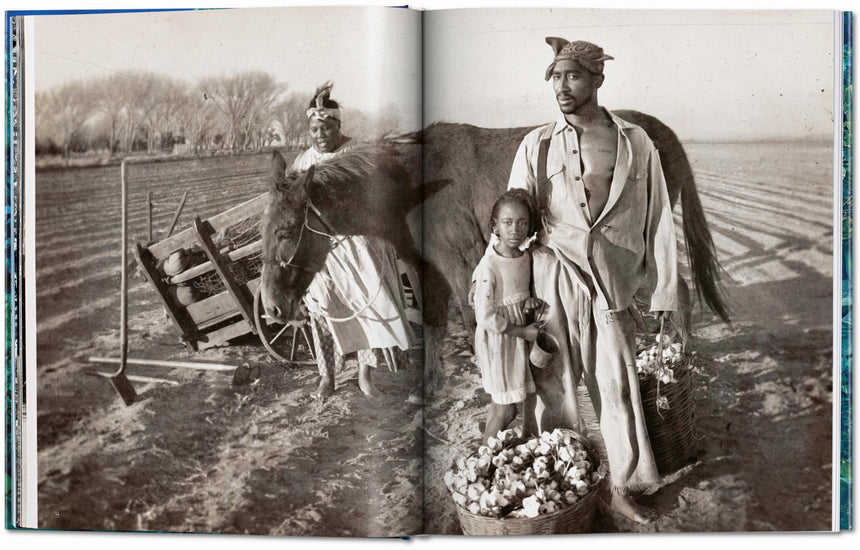 Persian Feasts: Recipes & Stories from a Family Table