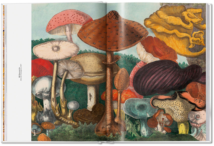 The Gourmand's Mushroom. A Collection of Stories & Recipes