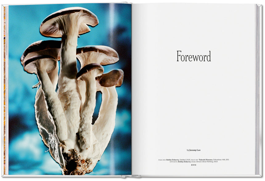 The Gourmand's Mushroom. A Collection of Stories & Recipes