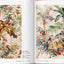 The Book of Printed Fabrics. 45th Ed.