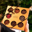 Gold Selection Box with Chocolate coated Liquorice Truffles