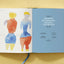 The Book of Colour Concepts