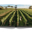 Wine & Travel Latin America