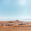 GREAT ESCAPES: AFRICA: The Hotel Book: 2020 Edition